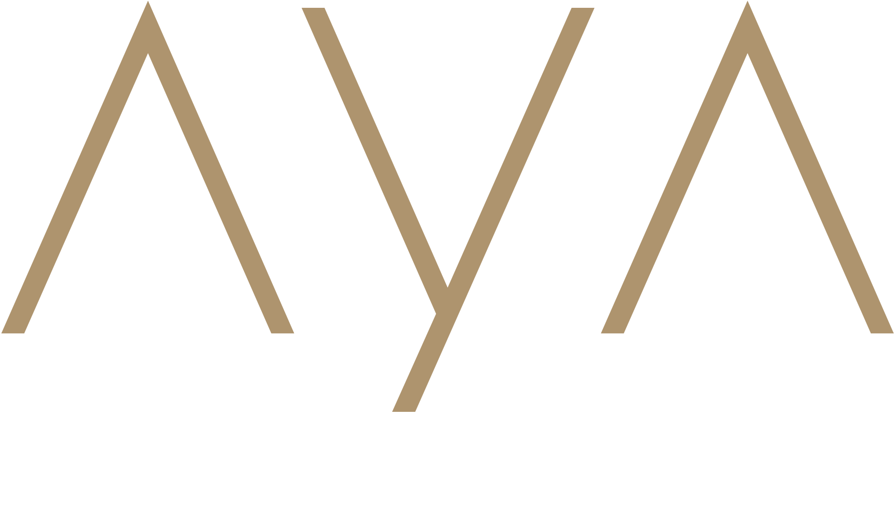 Velkommen til AYA House