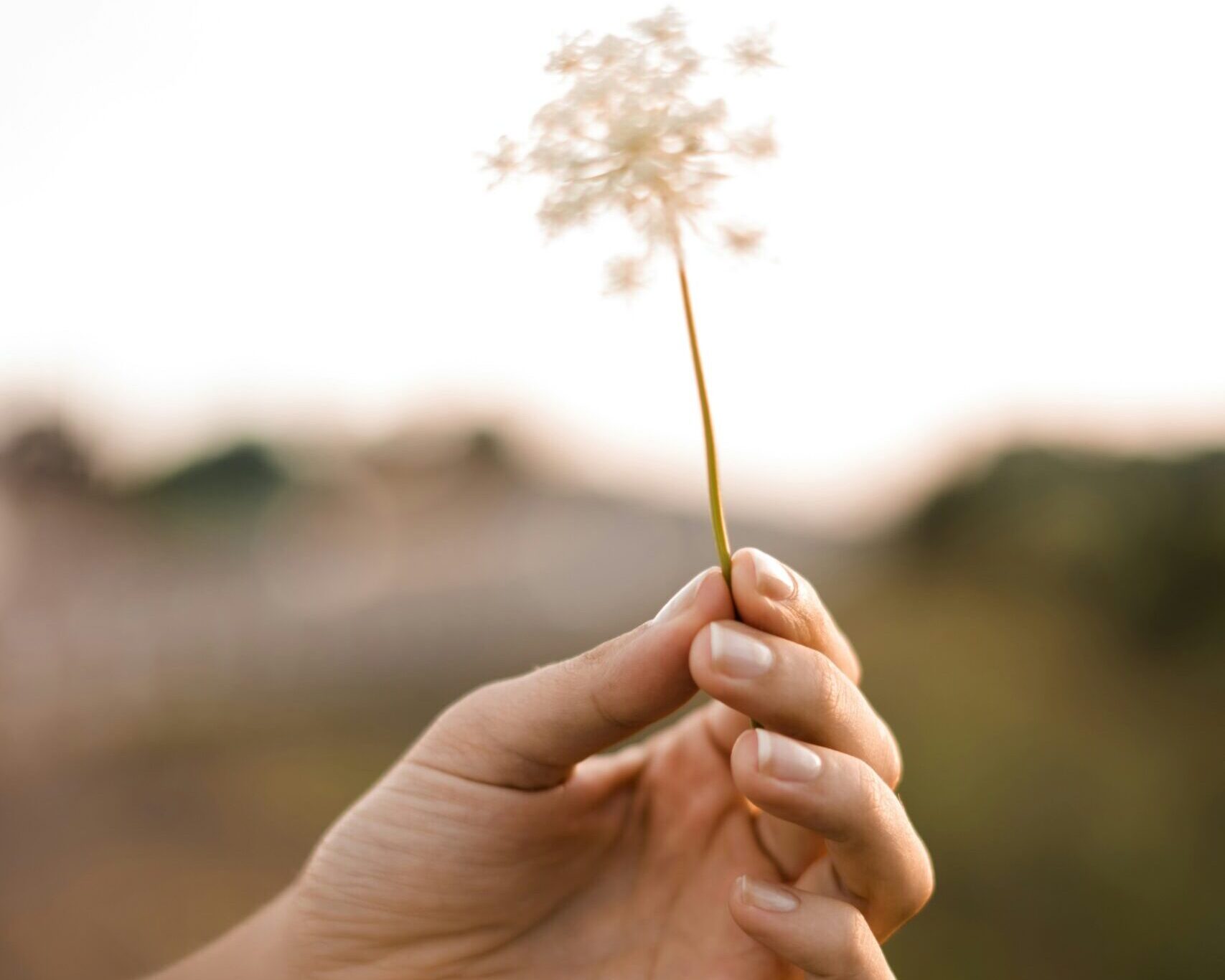 jessica-da-rosa-bOfUo9UmR6s-unsplash